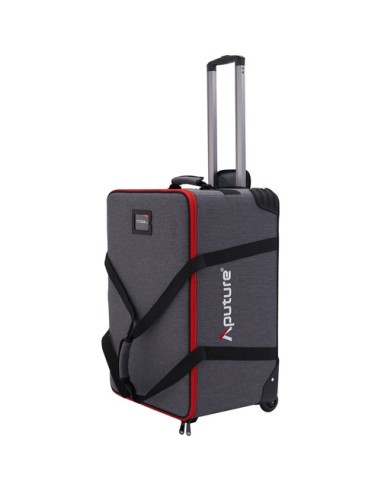 Aputure LS 600c Pro II Rental