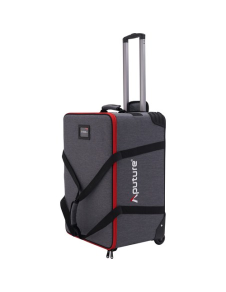 Aputure LS 600c Pro II Rental