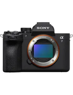 Sony a7 V Rental