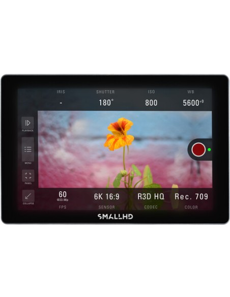 SmallHD INDIE 7 Rental