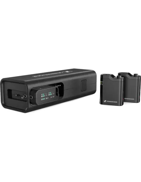Sennheiser Profile 2-Person Microphone System Rental